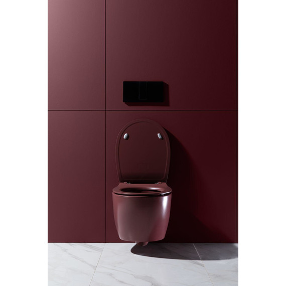 Унитаз приставной безободковый Allen Brau Fantasy 4.11004.BD с тонкой крышкой микролифт, бордо - фото 20