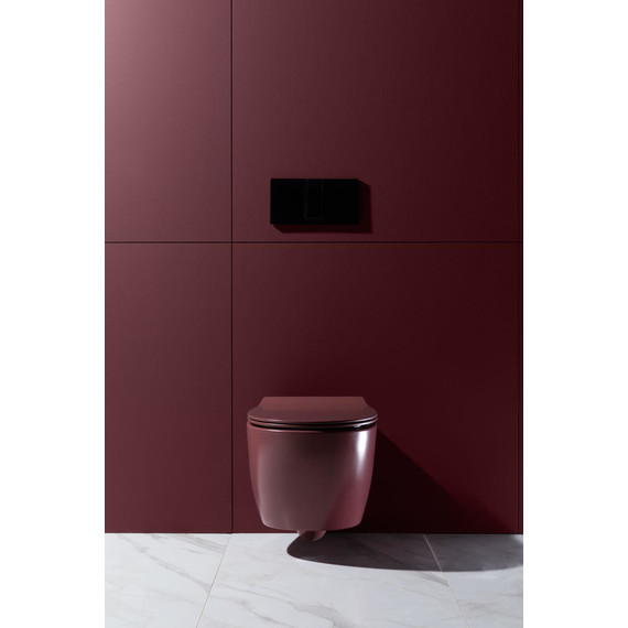 Унитаз приставной безободковый Allen Brau Fantasy 4.11004.BD с тонкой крышкой микролифт, бордо - фото 21