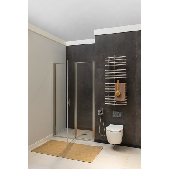 Душевая дверь Allen Brau Priority 120 см 3.31032.BA (стекло 8 мм) серебро браш/прозрачное - фото 6