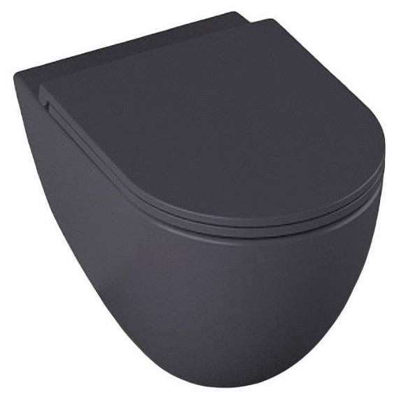 Унитаз подвесной безободковый Allen Brau Reality 4.32006.AN с крышкой микролифт, антрацит - фото 