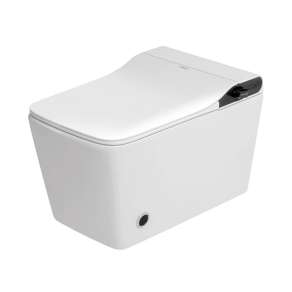 Инсталляция с подвесным унитазом комплект: Abber AC0101P2 с подвесным импульсным унитазом-биде Rechteck AC1215S с крышкой микролифт - фото 3