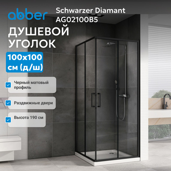 Душевое ограждение Abber Schwarzer Diamant 100х100 см AG02100B5, чёрный/прозрачное - фото 5