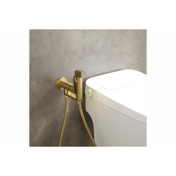 Набор для гигиенического душа Aquatek Альфа AQ1919BG (со скрытой частью) золото шлифованное - фото 4