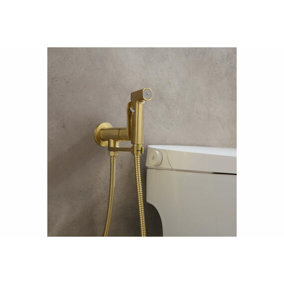 Набор для гигиенического душа Aquatek Альфа AQ1919BG (со скрытой частью) золото шлифованное - фото 5