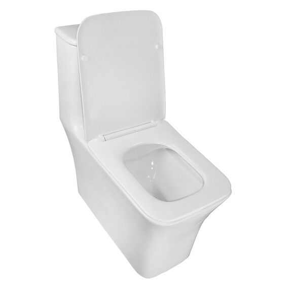 Унитаз-моноблок безободковый Azario Gressa AZ-1111 с крышкой микролифт - фото 2