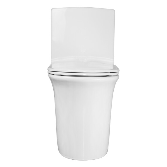 Унитаз-моноблок безободковый Azario Luna AZ-1037 с крышкой микролифт - фото 9