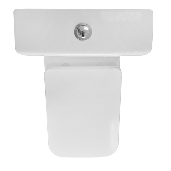 Унитаз-компакт безободковый Azario Formal AZ-1353B с крышкой микролифт - фото 10