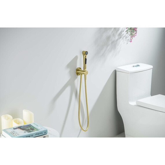 Набор для гигиенического душа Aquatek Европа AQ1020BG (со скрытой частью) золото шлифованное - фото 3