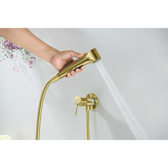 Набор для гигиенического душа Aquatek Европа AQ1020BG (со скрытой частью) золото шлифованное - фото 6