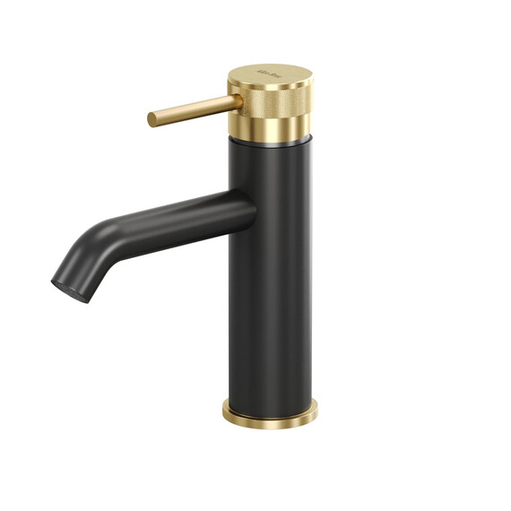 Смеситель для раковины Allen Brau Priority 5.31A01-31GB, чёрный/золото - фото 