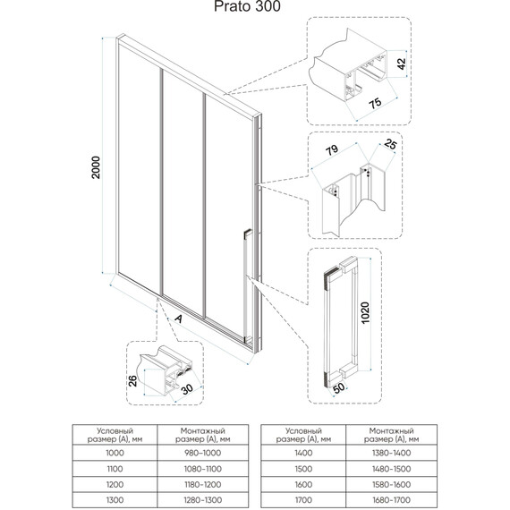 Душевая дверь Veconi Premium Prato 300 160 см PR3/R-160-01-B-C4, чёрный матовый/прозрачное - фото 8