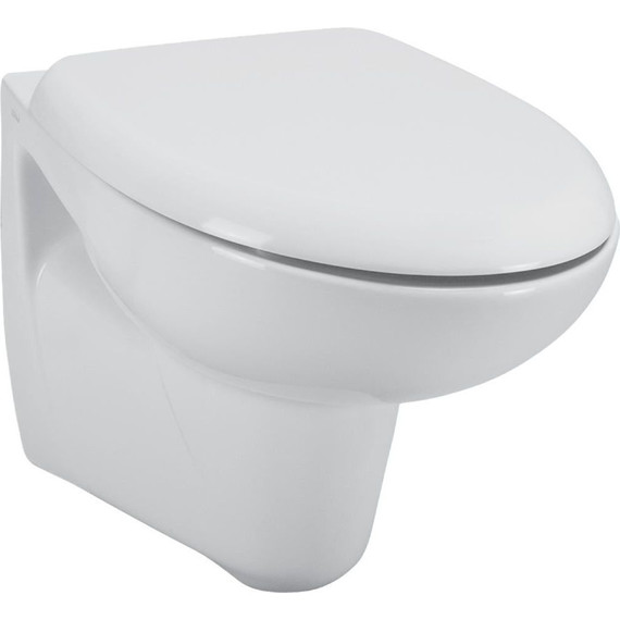 Унитаз-биде подвесной Ideal Standard Eurovit W705501 - фото 