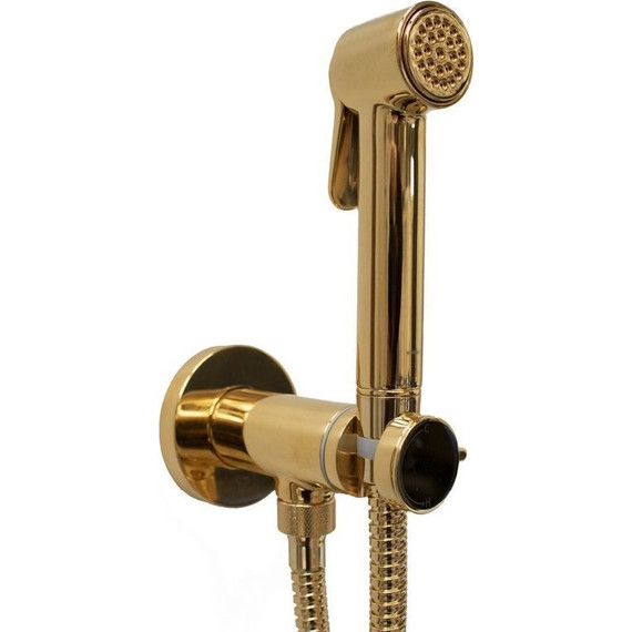 Набор для гигиенического душа Bossini Paloma Brass E37005B.021, золото - фото 