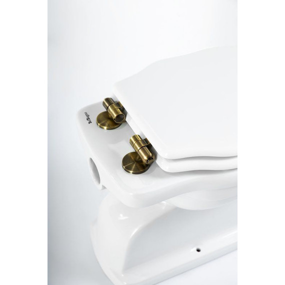 Унитаз приставной слив вертикальный BelBagno Boheme BB115CBS - фото 9