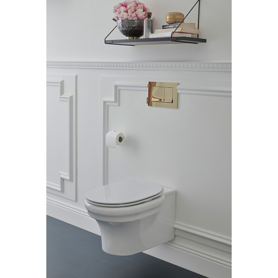 Унитаз подвесной безободковый Jacob Delafon Cleo 1889 EDZ102-0 - фото 2