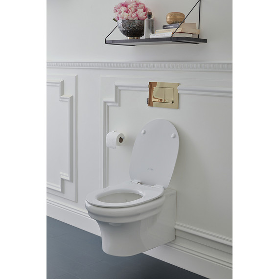 Унитаз подвесной безободковый Jacob Delafon Cleo 1889 EDZ102-0 - фото 3