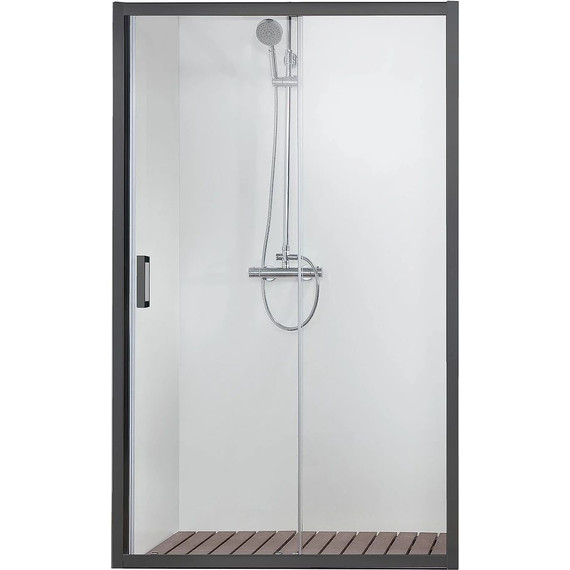 Душевая дверь Aquatek 100 см AQ ARI RA 10020BL, чёрный/прозрачное - фото 