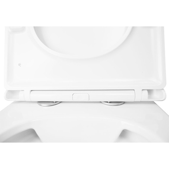 Унитаз приставной безободковый Azario Teramo AZ-003D-NR с крышкой микролифт - фото 6