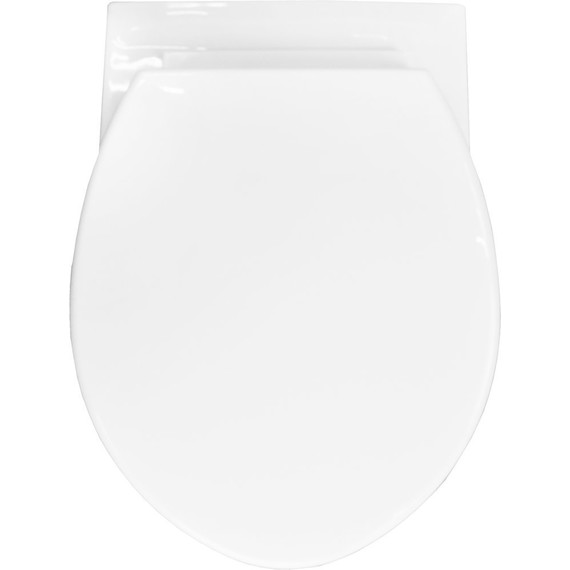 Инсталляция Loranto с подвесным унитазом Project 4501+PR1100N+7415 - фото 10