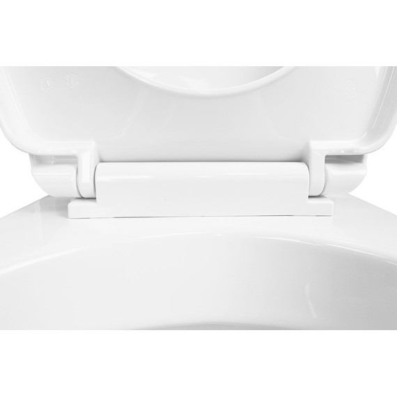 Инсталляция Loranto с подвесным унитазом Project 4501+PR1100N+7415 - фото 11