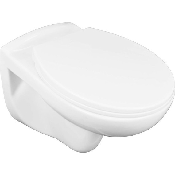 Унитаз подвесной безободковый Loranto Fredo CS-WH8005 с крышкой микролифт - фото, картинка 2 Унитаз подвесной безободковый Loranto Fredo CS-WH8005 с крышкой микролифт - фото 2