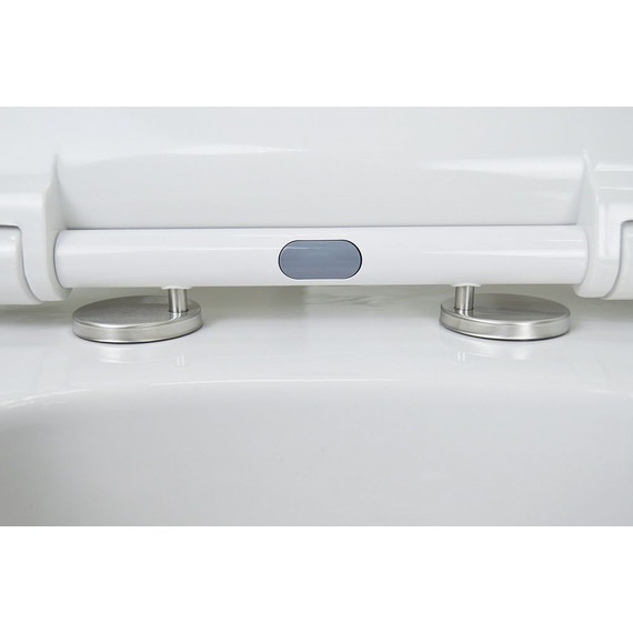 Унитаз подвесной безободковый Azario Ferio 87565 с тонкой крышкой микролифт - фото, картинка 6 Унитаз подвесной безободковый Azario Ferio 87565 с тонкой крышкой микролифт - фото 6