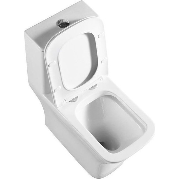 Унитаз-моноблок BelBagno Neon BB8617CPR-MN/SC с крышкой микролифт - фото 4