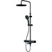 Душевая система AM.PM Inspire V2.0 F0750A522 с термостатом, чёрный, Цвет производителя: чёрный - фото 