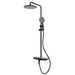 Душевая стойка Azario Ginkgo AZ-VPW238V95PA-1DJ1K22-ZH3A55, черный, Цвет производителя: чёрный - фото 